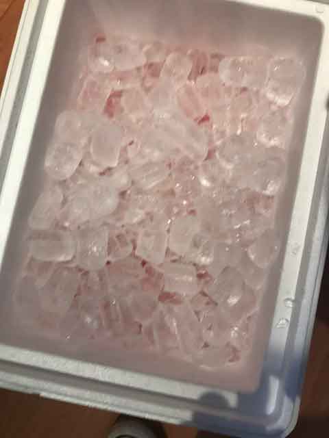 frozen items using dry ice